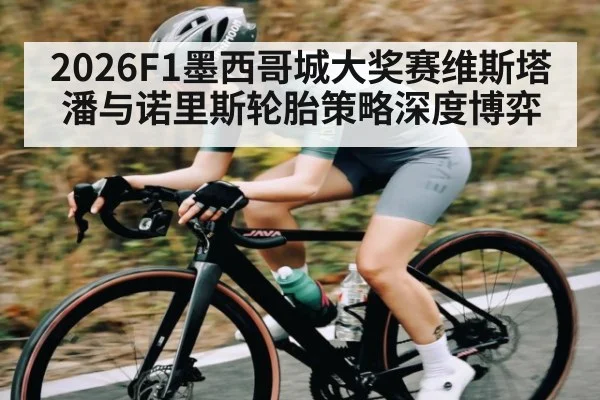 2026F1墨西哥城大奖赛维斯塔潘与诺里斯轮胎策略深度博弈